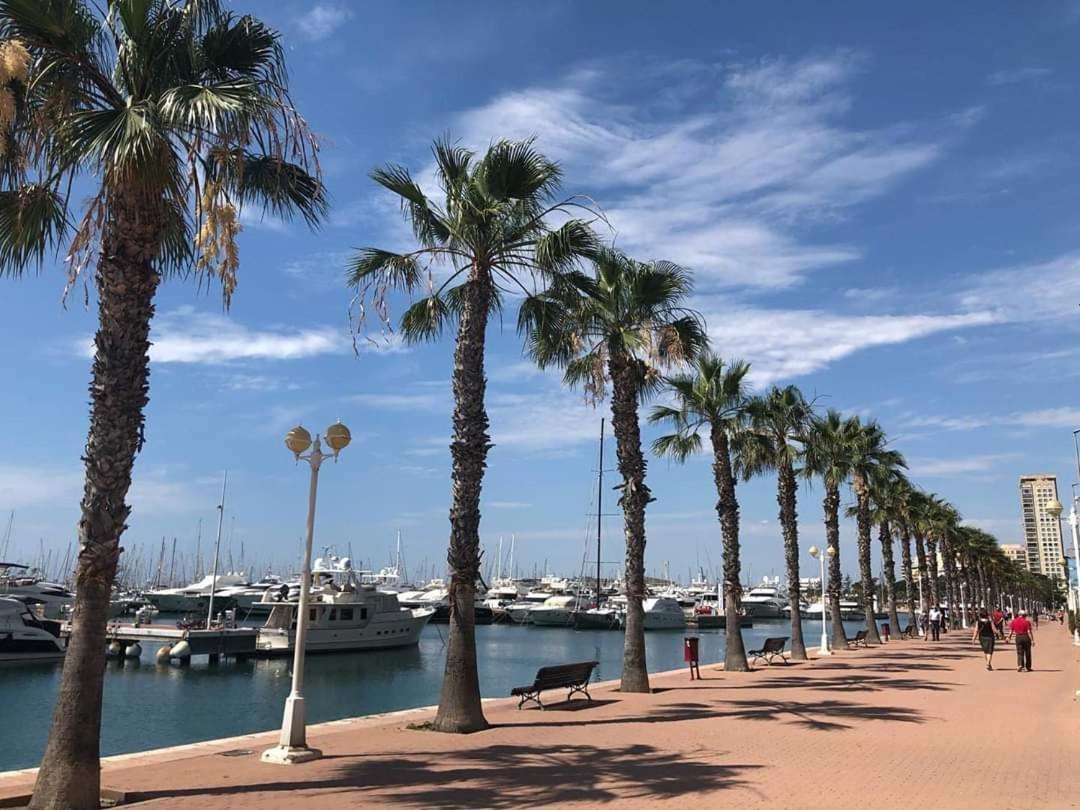 Casaturis Plaza Nueva En El Centro De Alicante A110 외부 사진